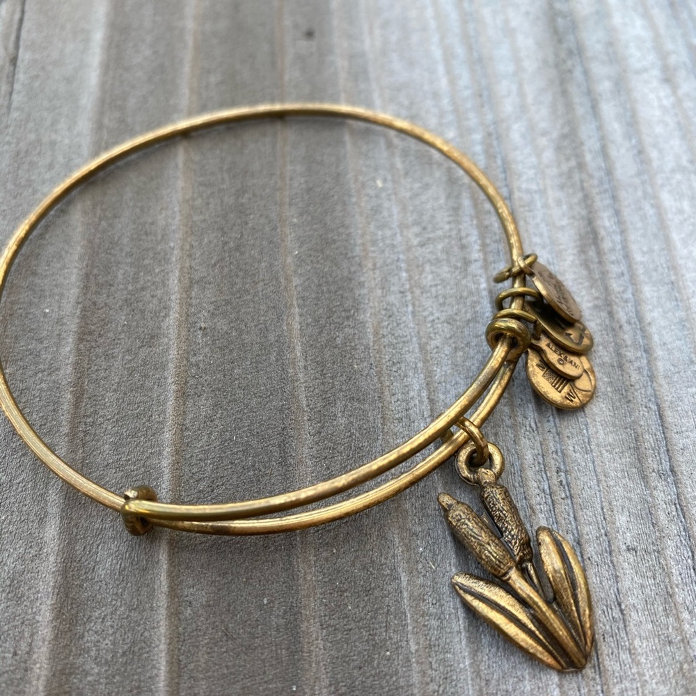 Alex and Ani Cat tail bangle bracelet